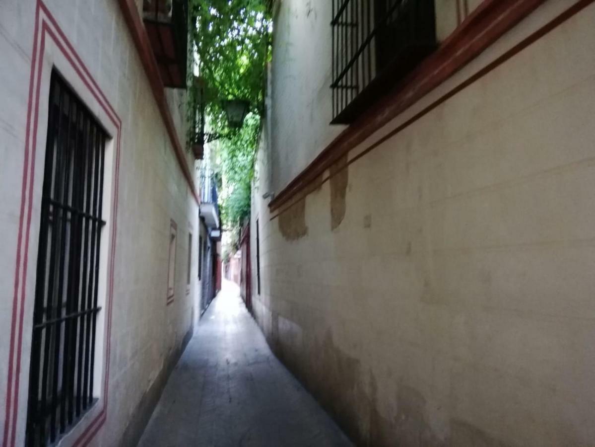 Apartamento En La Juderia De Sevilla Eksteriør bilde